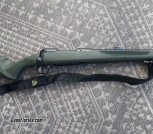 Savage 110 Hog Hunter  308 cal.